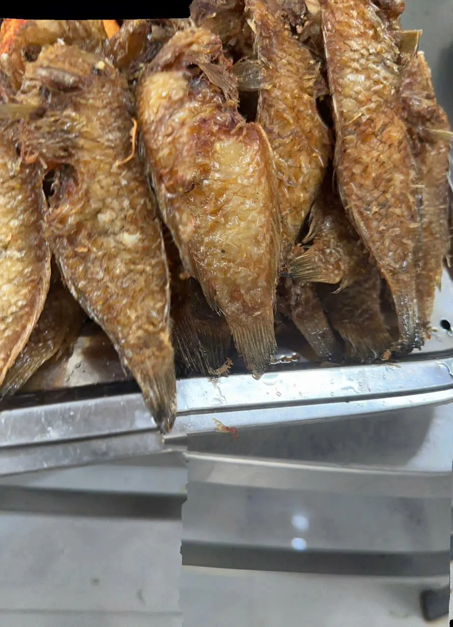 Cá mó biển chiên