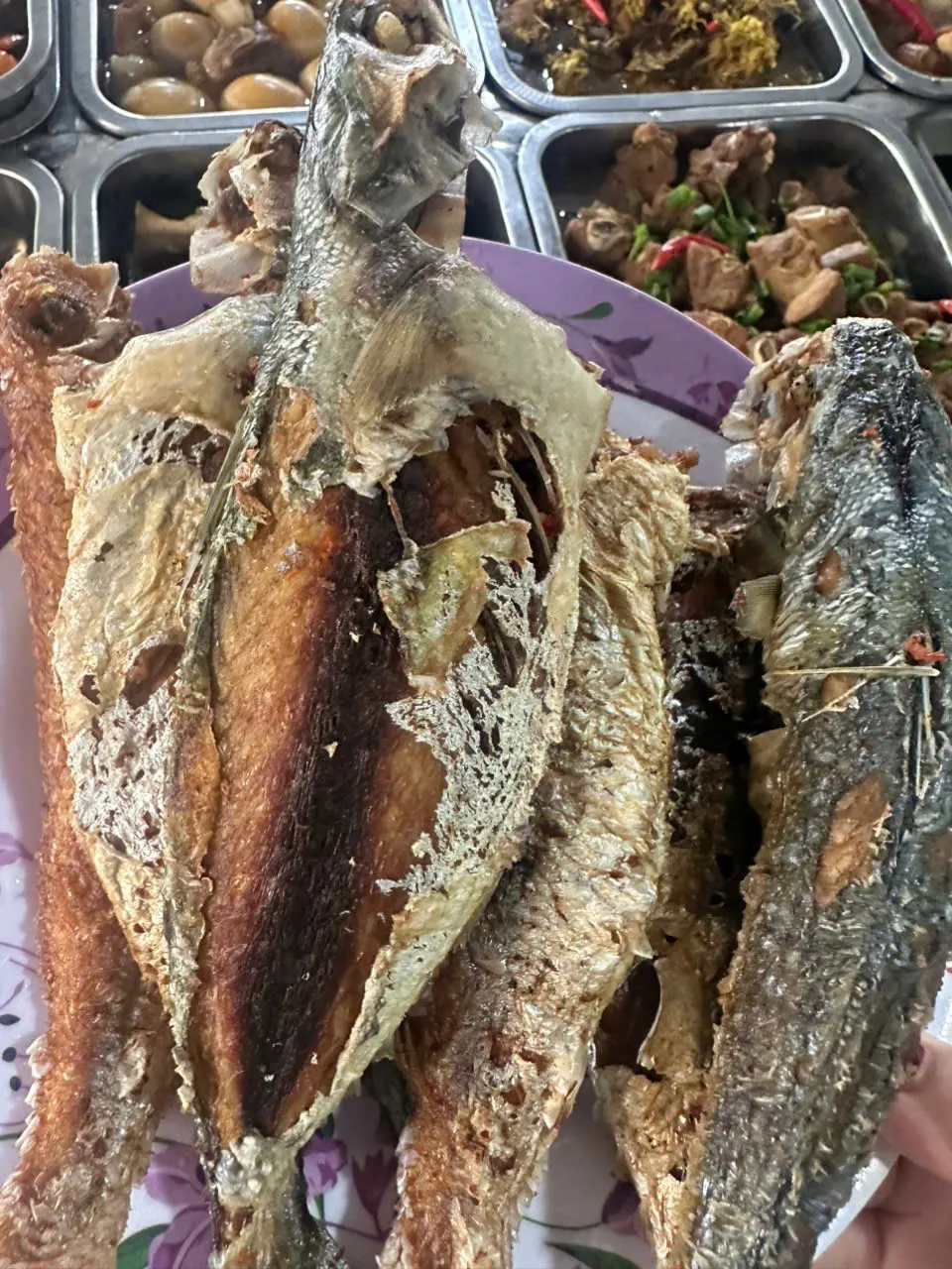 Cá biển chiên